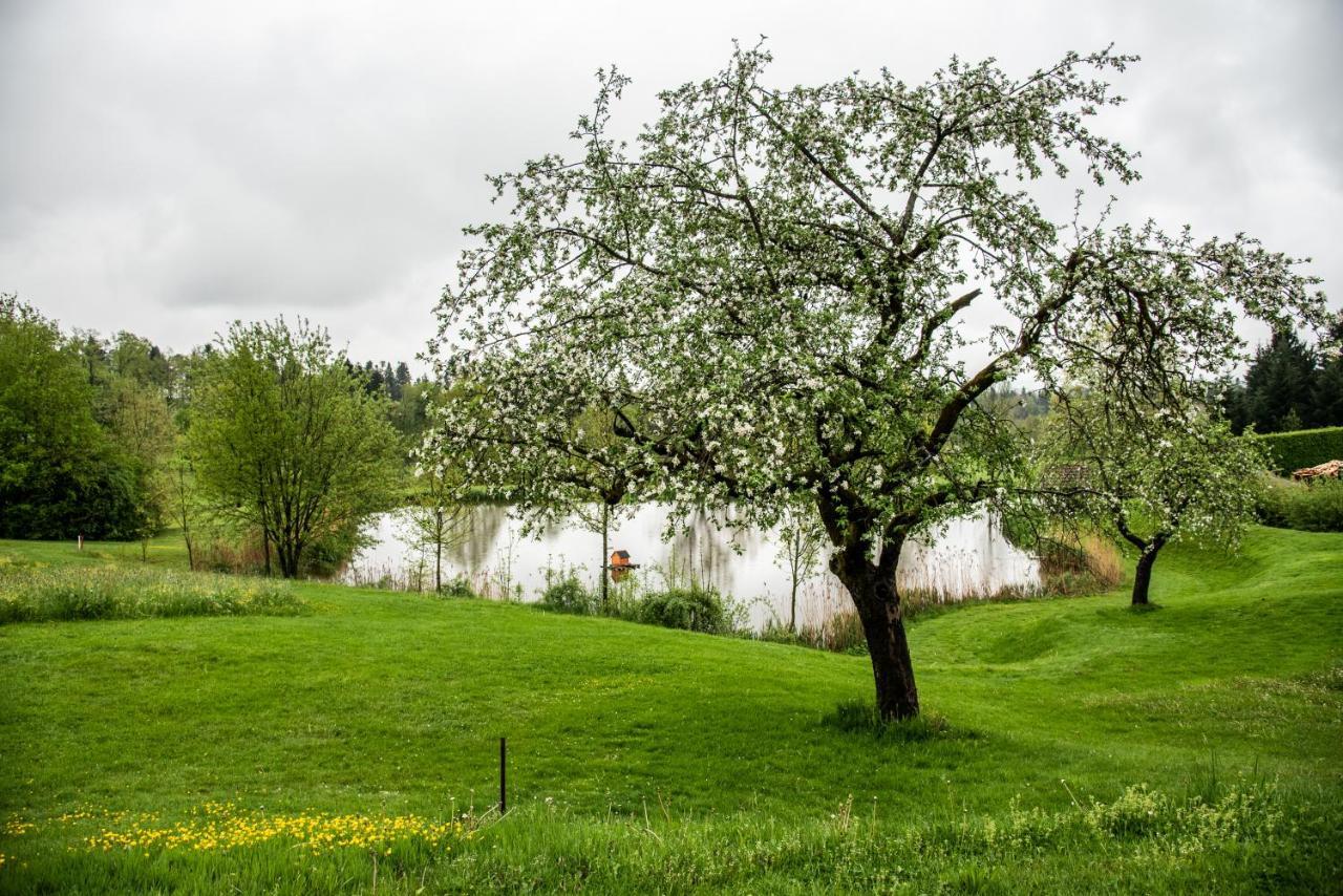 Thyrnau Anetseder Landhotel & Lofts מראה חיצוני תמונה