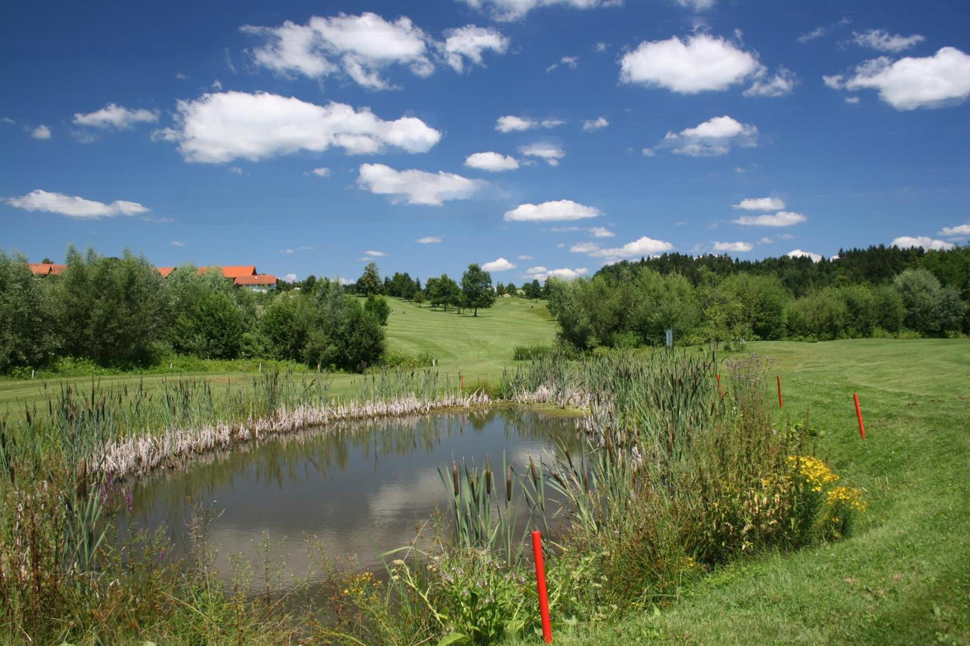 Thyrnau Anetseder Landhotel & Lofts מראה חיצוני תמונה